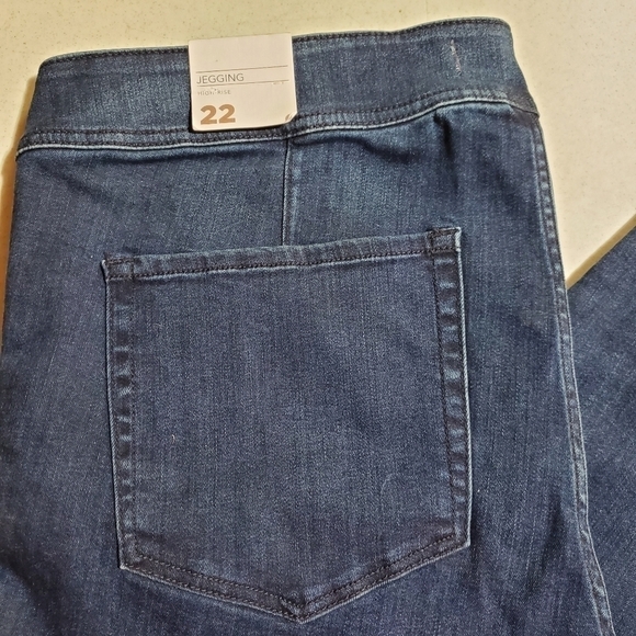 Lane Bryant Sz. 22 Blue Jean Jeggings - Picture 3 of 10